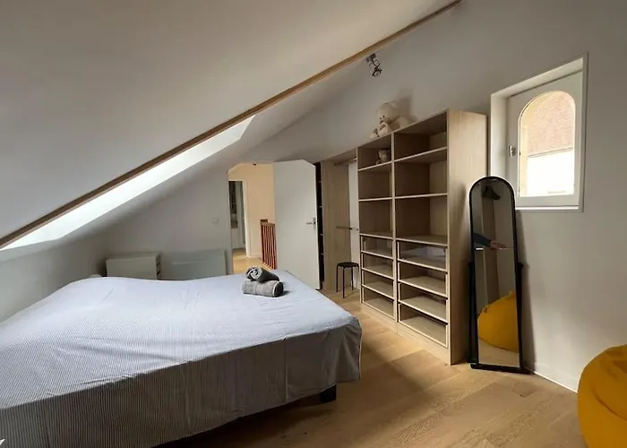 Duplex Cosy Hyper Centre Caen